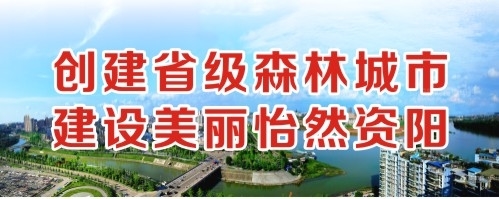 几把大奶在线肏屄创建省级森林城市 建设美丽怡然资阳